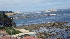 P1000487
